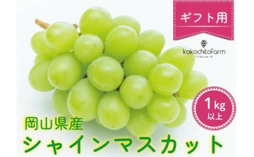 【2026年先行予約】 ここちとふぁーむ 【ギフト】 岡山県産 シャインマスカット 2～3房 1kg以上 【koko001-02】