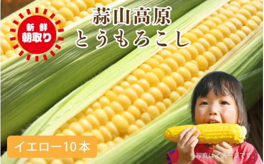蒜山高原 とうもろこし イエロー10本 / 数量限定 人気 朝採り 新鮮 スイートコーン トウモロコシ 高糖度 甘い 夏野菜 岡山県 真庭市 産地直送 ギフト 【配送不可地域：北海道／沖縄県／離島】【jujy001-02】