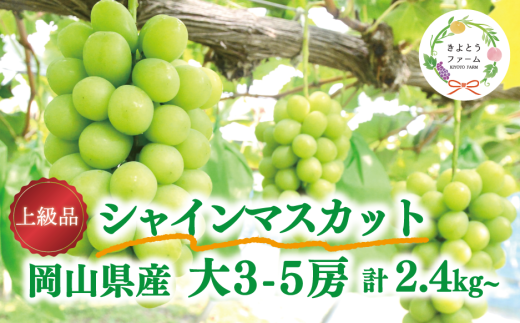 【2026年先行予約】シャインマスカット 上級品 大3-5房/計2.4kg~ (岡山県産)【KF-B072-02】
