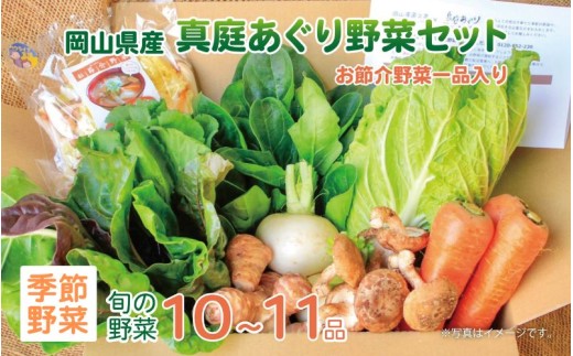 真庭あぐり野菜セット 10～11品 便利なカット野菜入り / 産地直送 農家 お試し 岡山県 新鮮 あぐりガーデン 国産 【配送不可地域：北海道／沖縄県／離島】 【jujy047-01】