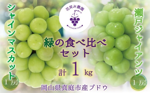 【2026年先行予約】 ぶどう 岡山 花笑み農園の『シャインマスカット&瀬戸ジャイアンツ』1kg (2房)  / ぶどう ブドウ 葡萄 シャインマスカット 瀬戸ジャイアンツ 先行予約 フルーツ 果物 真庭市 【hana046-02】