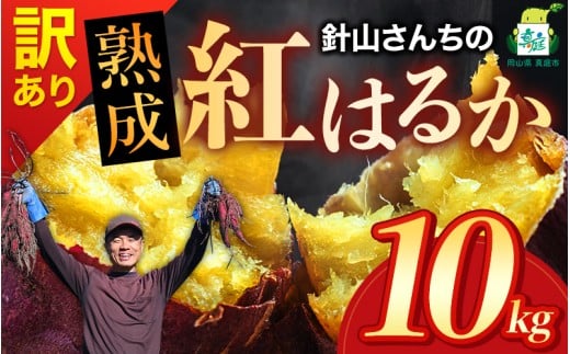 【訳あり】針山さんちのさつまいも 紅はるか 10kg / さつまいも 紅はるか 岡山県 野菜 【ybrf003-01】