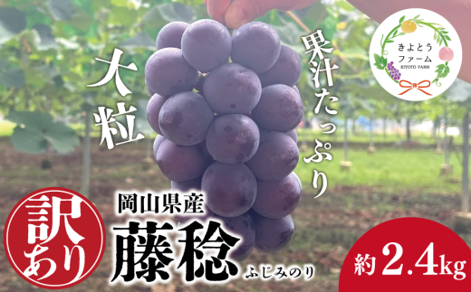 【2026年先行予約】訳あり 種なし ボッケーネ(藤稔) 約2.4kg (岡山県産) /  岡山 真庭 ピオーネ 高級 2.4kg 2025 真庭市 大粒 葡萄 果物 フルーツ 濃厚 人気 数量限定【KF-B090-02】