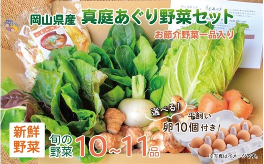 まにわの野菜 真庭あぐり野菜セット 10～11品 カット野菜入り 平飼い卵付き  / 詰め合わせ 産地直送 岡山県 真庭市 新鮮 あぐりガーデン 産直工房 国産【配送不可地域：北海道／沖縄県／離島】【jujy055-01】