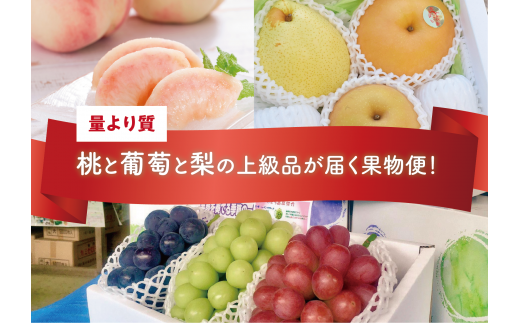 【2026年先行予約】量より質！桃と葡萄と梨の上級品が届く岡山果物便！３回便(定期便) (岡山県産) 【KF-T024-03】