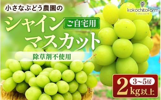【2026年先行予約】 ここちとふぁーむ 【ご自宅用】 岡山県産 シャインマスカット 3～5房 2kg以上 【koko003-02】