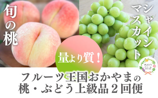 【2026年先行予約】量より質！桃とシャインマスカット、上級品の2回便(定期便) (岡山県産) / 7月9月【KF-T018-04】