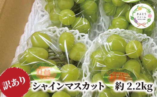 【2026年先行予約】訳ありだけど、甘～いシャインマスカット/約2.2kg (岡山県産)【KF-B015-03】