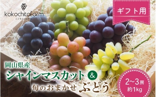 【2026年先行予約】 ここちとふぁーむ 【ギフト】 岡山県産 シャインマスカット＆旬のおまかせぶどう 2～3房 約1kg 【koko015-01】