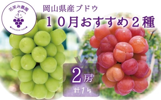 【2026年先行予約】 ぶどう 岡山 花笑み農園のぶどう【10月おすすめ 2種セット】1kg（2房） / ぶどう 詰め合わせ 食べ比べ ブドウ シャインマスカット ピオーネ クイーンニーナ オーロラブラック 瀬戸ジャイアンツ 翠峰 BKシードレス マスカサーティーン マスカットノワール 雄宝 マイハート 真庭市【hana020-02】