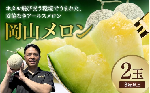 【2026年先行予約】 岡山メロン アールスメロン2玉（3kg以上） ※7月末より順次発送 岡山県 真庭市 フルーツ 果物 高級 ギフト 贈答 ご家庭用 【mnem002-01】