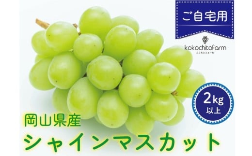 【2026年先行予約】 ここちとふぁーむ 【ご自宅用】 岡山県産 シャインマスカット 3～5房 2kg以上 【koko003-02】