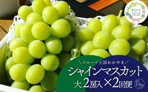 【2026年先行予約】岡山のシャインマスカットを楽しむ満足2回便！特大２房×２回/全便計2.6kg~ (定期便)(岡山県産)【KF-T044-03】