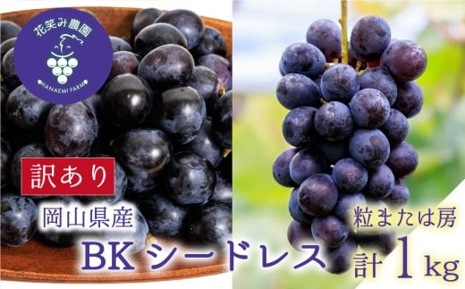 【2026年先行予約】岡山 花笑み農園の訳あり『BKシードレス』1kg 【hana062-02】