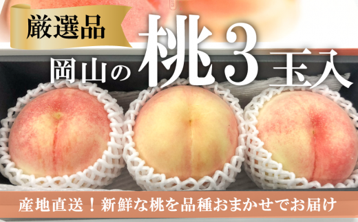 【2026年先行予約】厳選品 旬の桃（品種おまかせ）3玉入 (岡山県産)  【KF-A016-03】