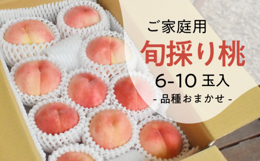 【2026年先行予約】旬採り桃 ご家庭用 6-10玉 (岡山県産) もも 真庭市 【KF-A018-03】