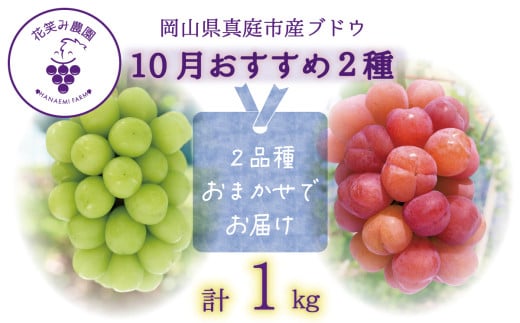 【2026年先行予約】 ぶどう 岡山 花笑み農園のぶどう【10月おすすめ 2種セット】1kg（2房） / ぶどう 詰め合わせ 食べ比べ ブドウ シャインマスカット ピオーネ クイーンニーナ オーロラブラック 瀬戸ジャイアンツ 翠峰 BKシードレス マスカサーティーン マスカットノワール 雄宝 マイハート 真庭市【hana020-02】