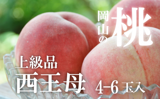 【2026年先行予約】西王母（上級品）4-6玉入 (岡山県産) 【KF-A011-02】