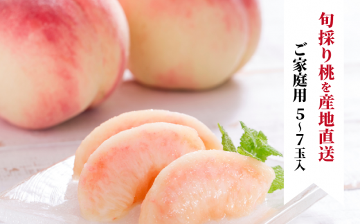 【2026年先行予約】旬採り桃 ご家庭用 5-7玉 (岡山県産) もも 真庭市 【KF-A004-02】