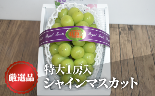 【2026年先行予約】厳選品 大粒シャインマスカット1房/700g以上 (岡山県産) 【KF-B060-03】
