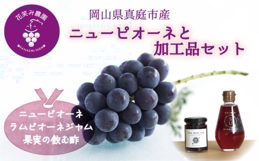 【2026年先行予約】花笑み農園　岡山の『ピオーネ&ラムピオーネジャム&飲む酢』 【hana071-02】
