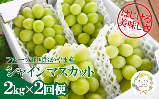 【2026年先行予約】岡山のシャインマスカットを楽しむ満足2回便！3-5房入×２回/全便計4.0kg~ (定期便)(岡山県産)【KF-T046-03】