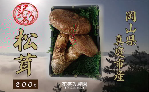 【2026年先行予約】花笑み農園　岡山の訳あり『松茸』200g 【hana023-02】