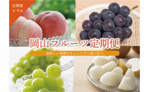 【2026年先行予約】桃・ぶどう・梨が全４回届く岡山フルーツ定期便 (岡山県産)【KF-T006-02】