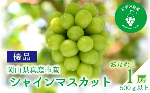【2026年先行予約】岡山 花笑み農園の『シャインマスカット』500ｇ以上（大１房）S-大1 / ぶどう 葡萄 岡山 シャイン シャインマスカット フルーツ 果物 真庭市 【hana081-01】
