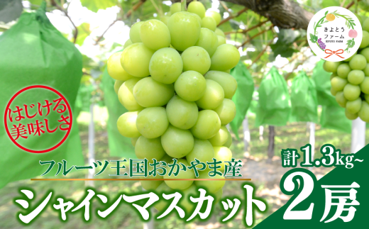 【2026年先行予約】シャインマスカット 特大２房入/計1.3kg~ (岡山県産) 【KF-B014-03】
