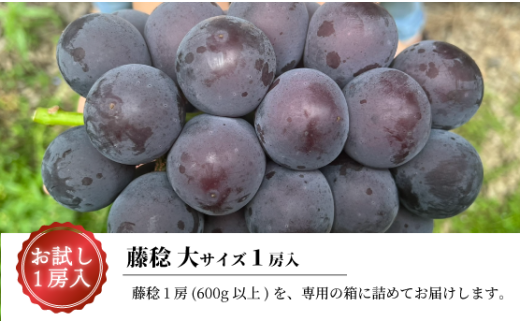 ã2026幎å
è¡äºçŽã倧ç²ã¶ã©ãã®è€çš ã詊ãïŒæ¿å
¥ / æ¿600gä»¥äž (岡山çç£) / ãµãã¿ã®ã è€ã¿ã®ã ã¶ã©ã ãã㊠è¡è å
è¡äºçŽ ãã«ãŒã æç© çåºåž ãã«ãŒãçåœ ãããšãææš¹åãKF-B088-03ã