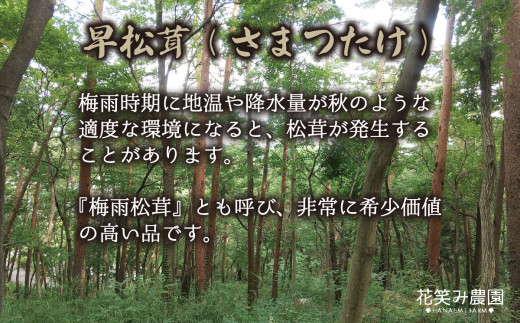 ã2026幎å
è¡äºçŽãè±ç¬ã¿èŸ²åãè¶
åžå°ïŒæ©ãæŸèžã200gïœæ¢
éšã®æµã¿ãïŒ6ïœ7æçºéïŒ ãhana024-02ã