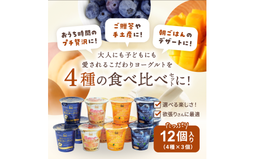 【6カ月定期便】 蒜山ジャージーデザートヨーグルト12個セット（4種類×３個） 詰め合わせ 乳製品 贅沢ヨーグルト スイーツ 白桃 マンゴー ブルーベリー 食べ比べ プレゼント 蒜山酪農 真庭 岡山 ジャージー 牛乳 【hiru-tkb015】