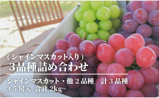 ã2026幎å
è¡äºçŽãæ¬ã®ã¶ã©ãïŒå皮詰ãåãã(ã·ã£ã€ã³ãã¹ã«ããå
¥ã) 3~5æ¿/èš2.0kg~ (岡山çç£) ãKF-B067-02ã