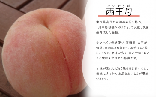 【2026年先行予約】西王母（上級品）4-6玉入 (岡山県産) 【KF-A011-02】