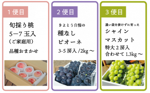 【2026年先行予約】旬採り桃とピオーネ、シャインマスカットが届く3回便！(定期便) (岡山県産)【KF-T001-02】