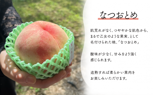 【2026年先行予約】甘い桃「なつおとめ」上級品 5~7玉入 (岡山県産) 【KF-A017-01】