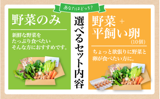 まにわの野菜 真庭あぐり野菜セット 7～8品 カット野菜入り 平飼い卵付き  / 詰め合わせ 産地直送 岡山県 真庭市 新鮮 あぐりガーデン 産直工房 国産【配送不可地域：北海道／沖縄県／離島】【jujy054-01】