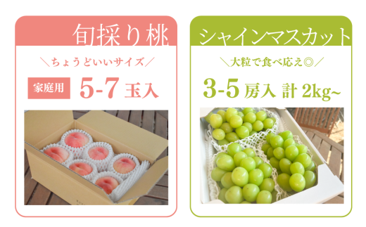 ã2026幎å
è¡äºçŽãæ¡ãšã·ã£ã€ã³ãã¹ã«ãããç£å°çŽéã§å±ãïŒãå®¶åºçšïŒå䟿 (å®æäŸ¿)(岡山çç£)ãKF-T048-04ã