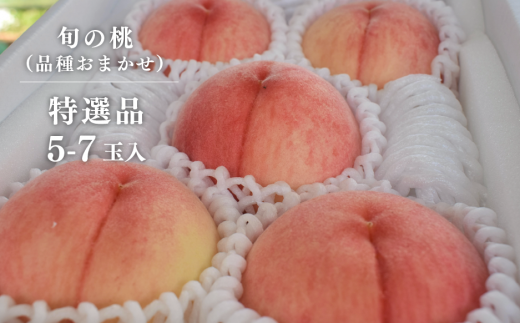 【特選品】旬採り桃(品種おまかせ) 5-7玉 (岡山県産) / もも 桃 モモ 先行予約 フルーツ 果物 真庭市 フルーツ王国 きよとう果樹園 岡山 【KF-A001-02】