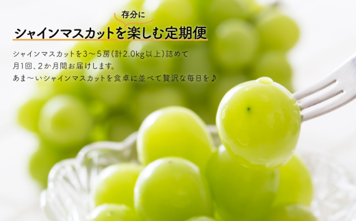 【2026年先行予約】岡山のシャインマスカットを楽しむ満足2回便！3-5房入×２回/全便計4.0kg~ (定期便)(岡山県産)【KF-T046-03】