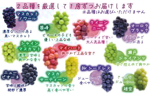 ã2026幎å
è¡äºçŽã ã¶ã©ã 岡山 è±ç¬ã¿èŸ²åã®ã¶ã©ãã10æãããã 2çš®ã»ããã1kgïŒ2æ¿ïŒ / ã¶ã©ã è©°ãåãã é£ã¹æ¯ã¹ ãã㊠ã·ã£ã€ã³ãã¹ã«ãã ããªãŒã ã¯ã€ãŒã³ããŒã ãªãŒãã©ãã©ãã¯ ç¬æžãžã£ã€ã¢ã³ã ç¿ å³° BKã·ãŒãã¬ã¹ ãã¹ã«ãµãŒãã£ãŒã³ ãã¹ã«ãããã¯ãŒã« éå® ãã€ããŒã çåºåžãhana020-02ã