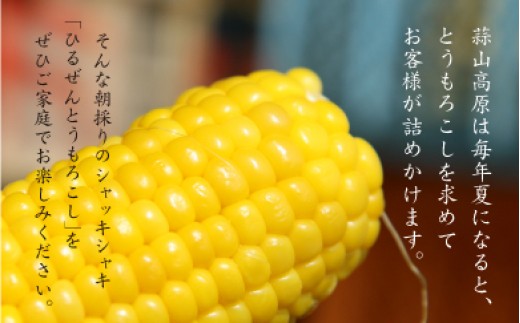 蒜山高原 とうもろこし イエロー10本 / 数量限定 人気 朝採り 新鮮 スイートコーン トウモロコシ 高糖度 甘い 夏野菜 岡山県 真庭市 産地直送 ギフト 【配送不可地域：北海道／沖縄県／離島】【jujy001-02】