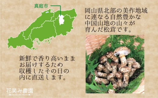 ã2026幎å
è¡äºçŽãè±ç¬ã¿èŸ²åã岡山ã®èš³ãããæŸèžã200g ãhana023-02ã