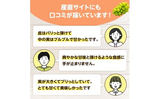 【2026年先行予約】 ここちとふぁーむ 【ご自宅用】 岡山県産 シャインマスカット 3～5房 2kg以上 【koko003-02】