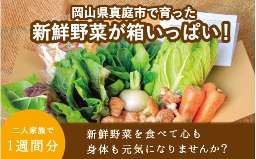 【12カ月定期便】真庭あぐり野菜セット セットカット野菜が1品入る 7～8品 / 詰め合わせ 産地直送 お試し 岡山県 産直工房 新鮮 あぐりガーデン 国産 【配送不可：北海道／沖縄県／離島】  【jujy-tkb050】
