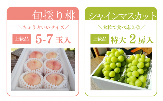 ã2026幎å
è¡äºçŽãéããè³ªïŒæ¡ãšã·ã£ã€ã³ãã¹ã«ãããäžçŽåã®2å䟿(å®æäŸ¿) (岡山çç£) / 7æ9æãKF-T018-04ã