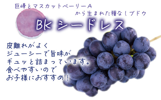 【2026年先行予約】ぶどう 岡山 花笑み農園の『BKシードレス』1kg（2～3房） 1kg 贈答用 濃厚 ぶどう 2026年9月中旬～ 受付順に発送予定 【hana027-03】