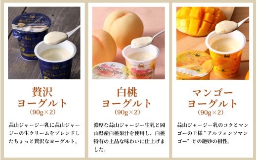 蒜山ジャージーヨーグルト 6種 14点セット 詰め合わせ 食べ比べ ひるぜん 蒜山酪農 真庭 岡山 ジャージー ギフト【hiru009-01】