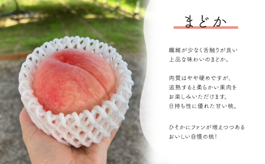 ã2026幎å
è¡äºçŽããŸã©ã çœæ¡ ãå®¶åºçš 5-7çå
¥ (岡山çç£)ãKF-A023-03ã